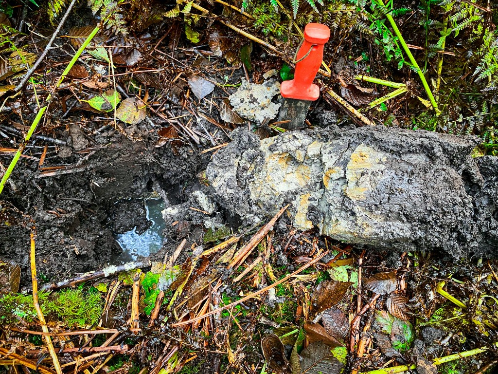 Wetland soil test pit for critical areas permitting
