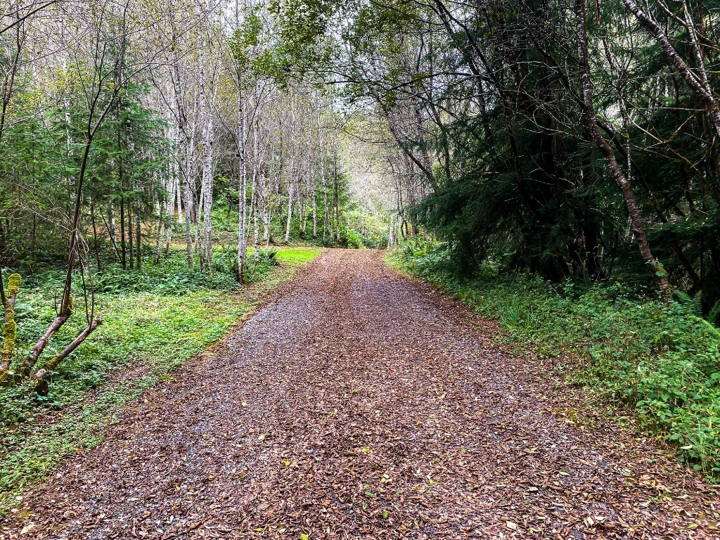 Pacific Northwest forest corridor for natural resource assessment
